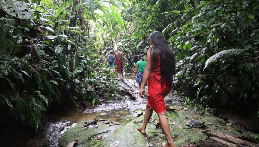 Clean Water in the Amazon 
