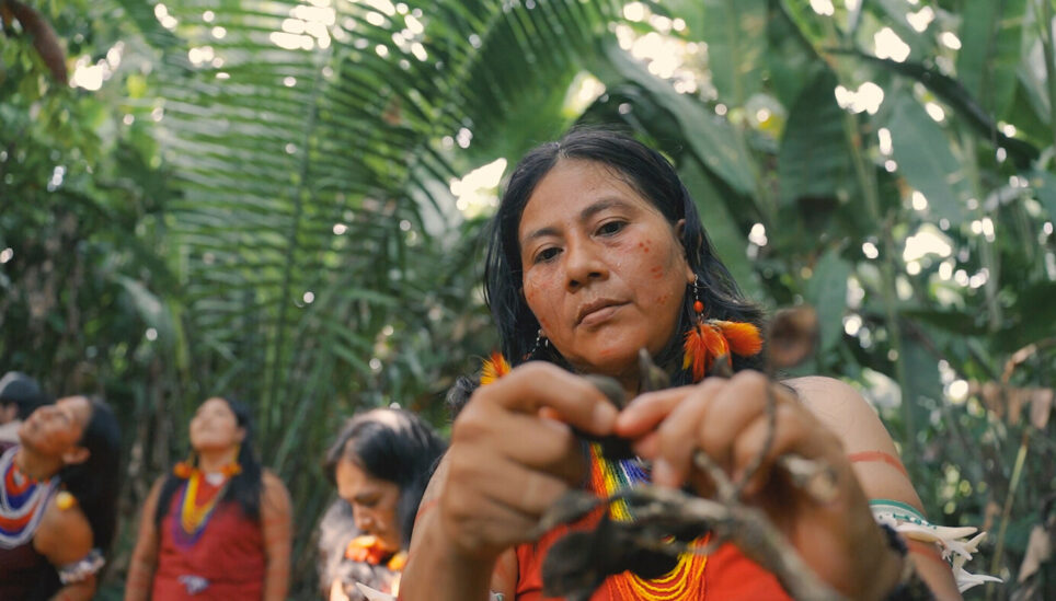 https://www.coolearth.org/wp-content/uploads/2025/07/RS3426_Rosa-Paukai-presidente-de-la-asociacion-de-artesanas_scr.jpg