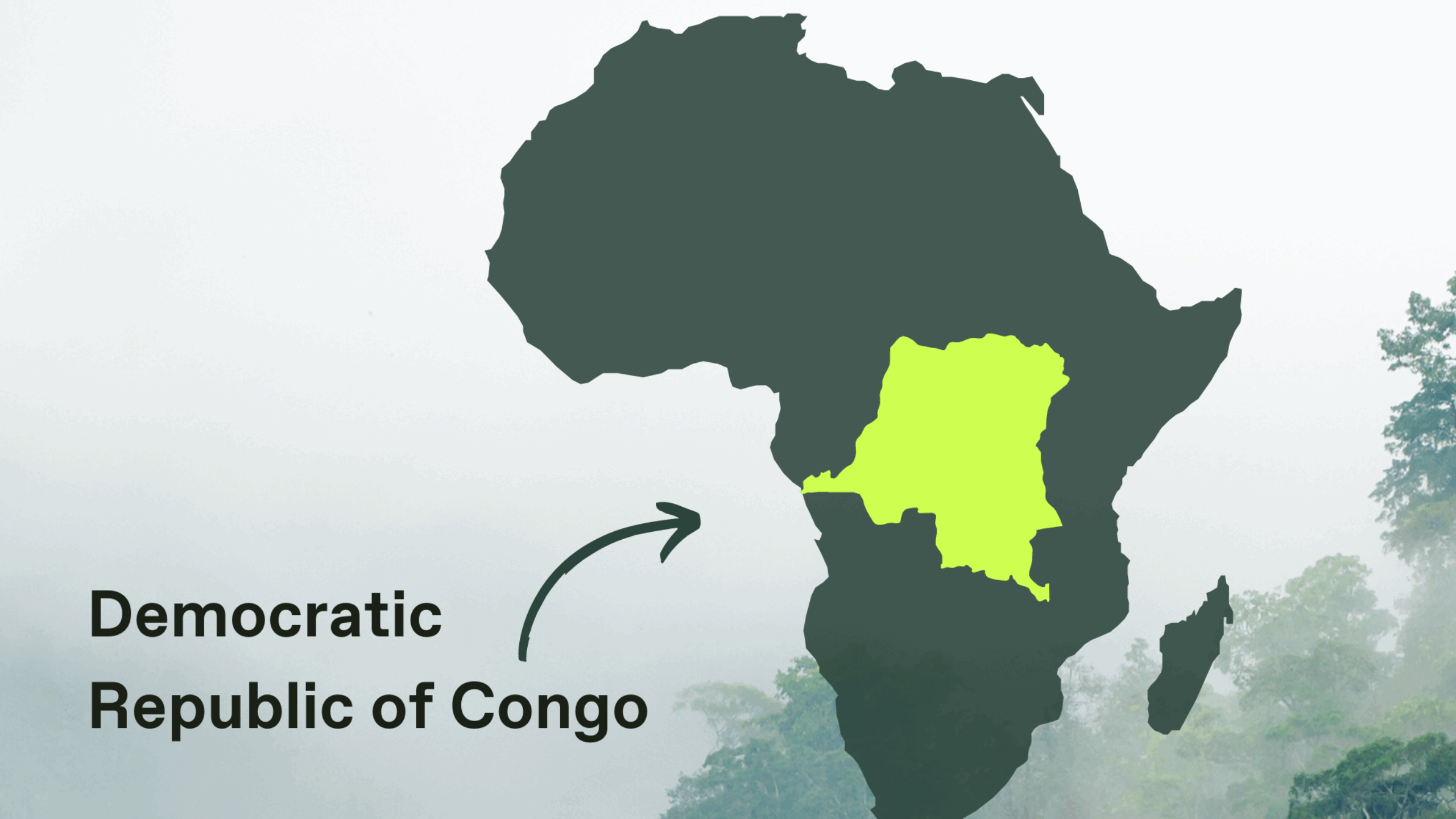 Guardians of the Congo