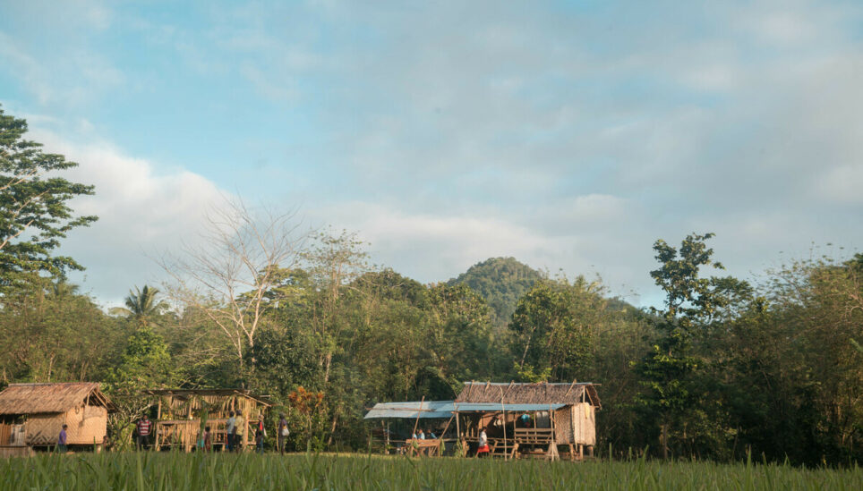 https://www.coolearth.org/wp-content/uploads/2025/07/RS558_191008_Papua_New_Guinea_Sololo-7427-scr-12.jpg