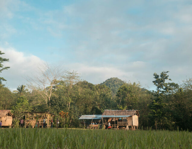 Milne Bay Province