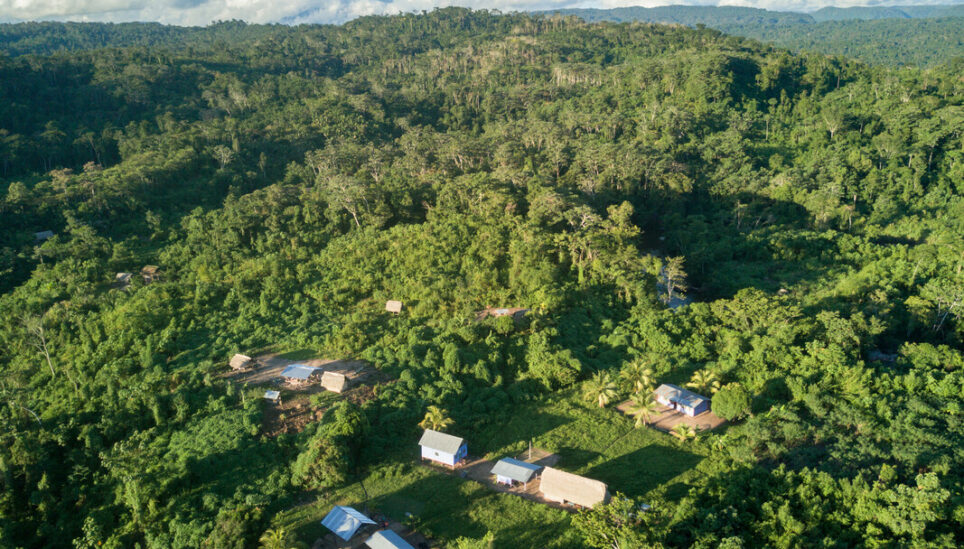 https://www.coolearth.org/wp-content/uploads/2025/07/RS643_170509_Peru_Ashaninka_Aerial-0098-scr.jpg