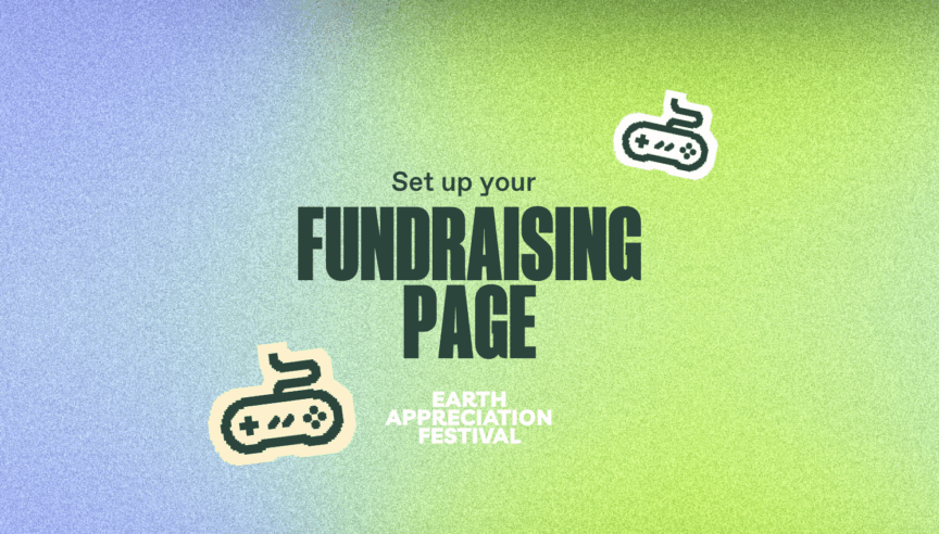 Set up your fundraising page