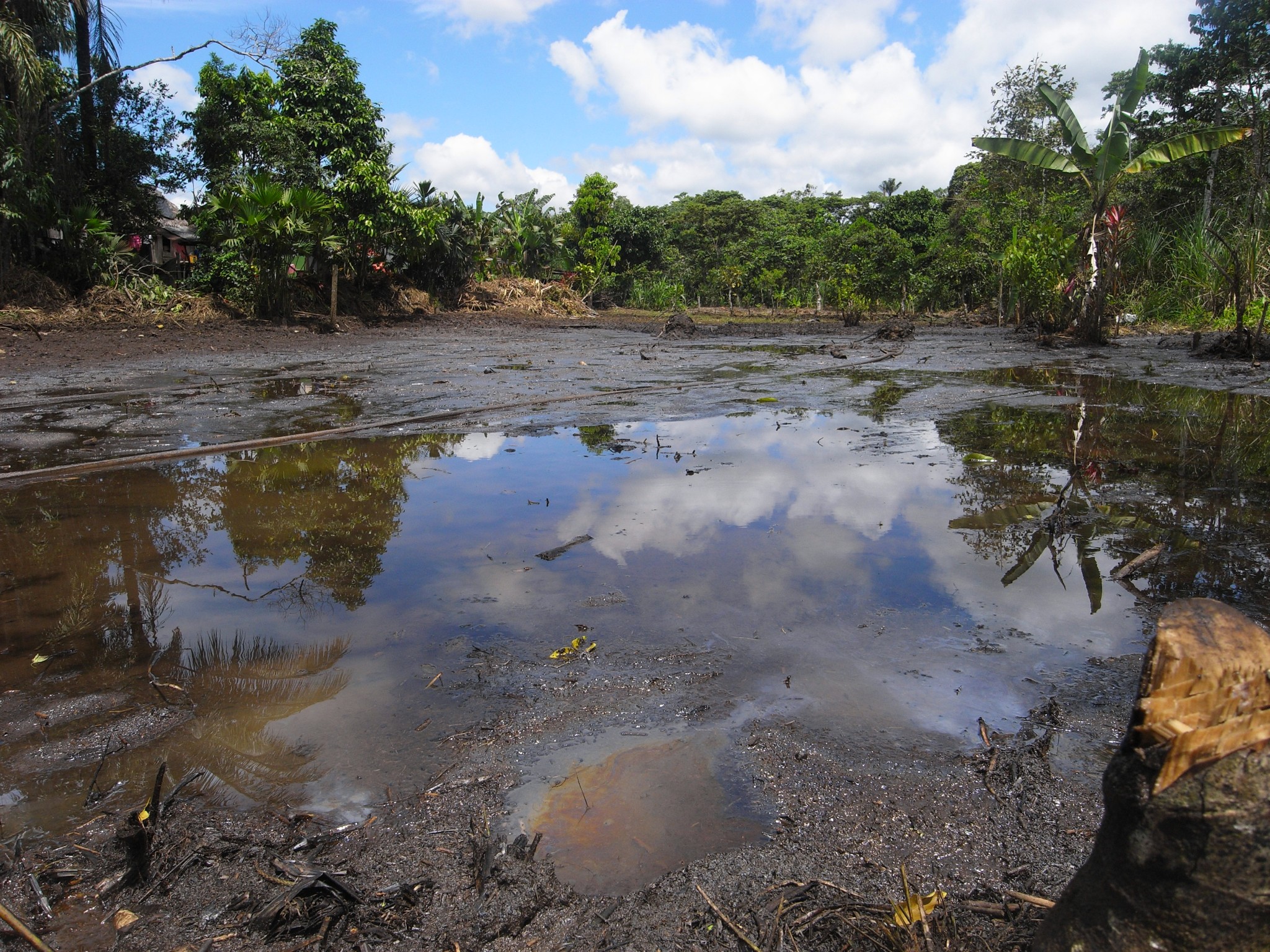 is amazon bac water safe Poisoned Amazon: Nothing Safe to Drink – Cool Earth