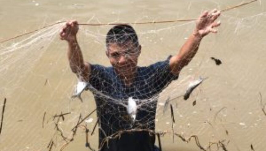 Fish Farming