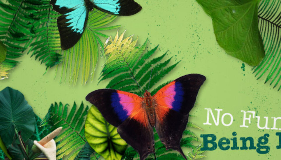 https://www.coolearth.org/wp-content/uploads/2025/07/coolearth-no-fun-being-extinct-header-1.jpg