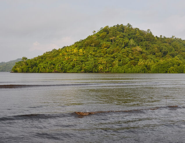 UK Security Threat Report: 3 key takeaways and why rainforests matter