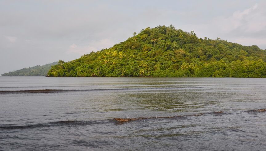 UK Security Threat Report: 3 key takeaways and why rainforests matter