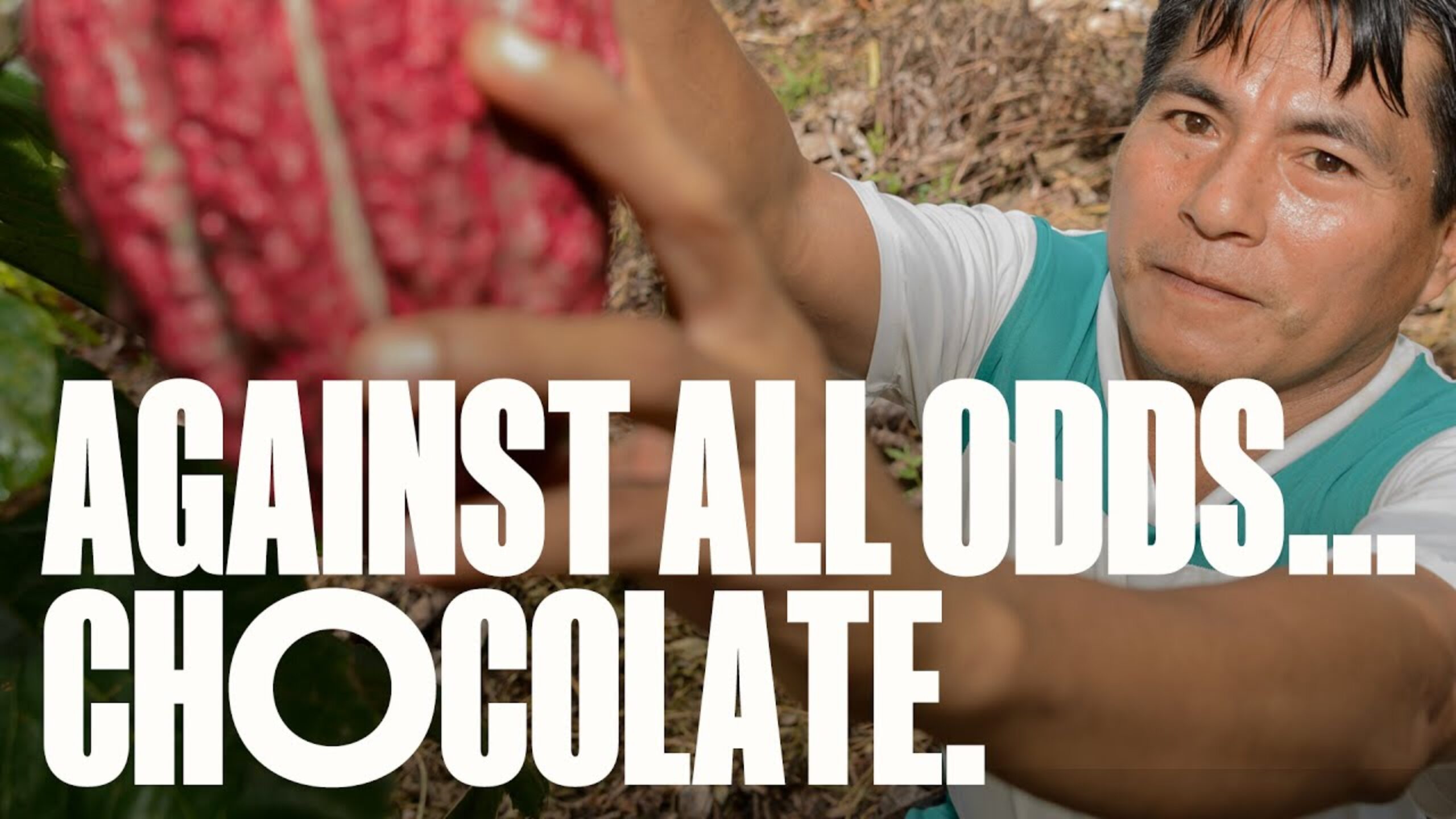 A chocolate factory in the rainforest