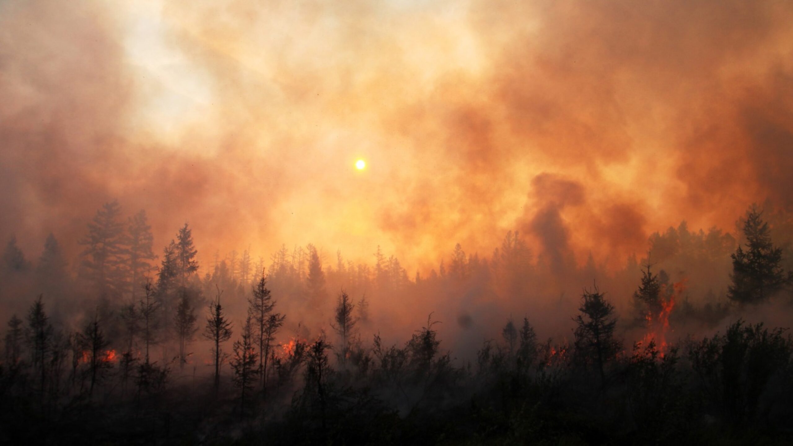 Wiping climate change out