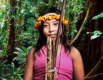 Awá demand immediate eviction of loggers – Cool Earth