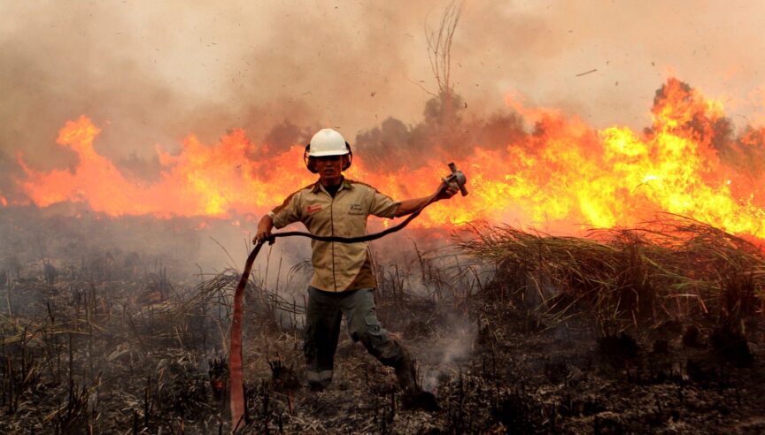 Wildfire Prevention