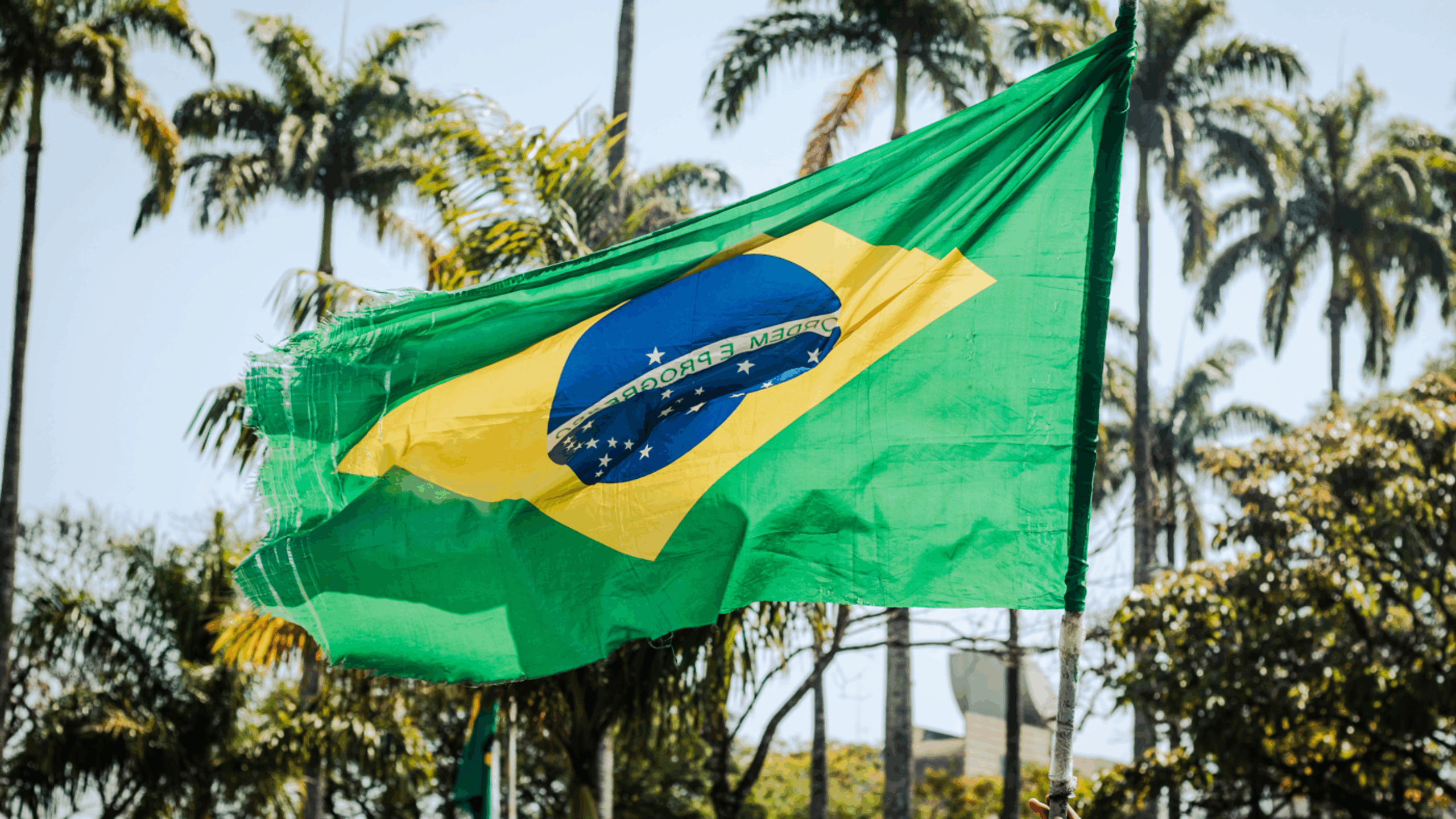 Bolsonaro out, Rainforest wins?