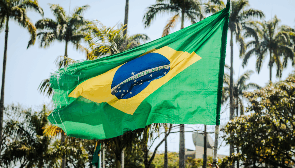 https://www.coolearth.org/wp-content/uploads/2025/07/matheus-camara-da-silva-6MA7HufwJkI-unsplash.png
