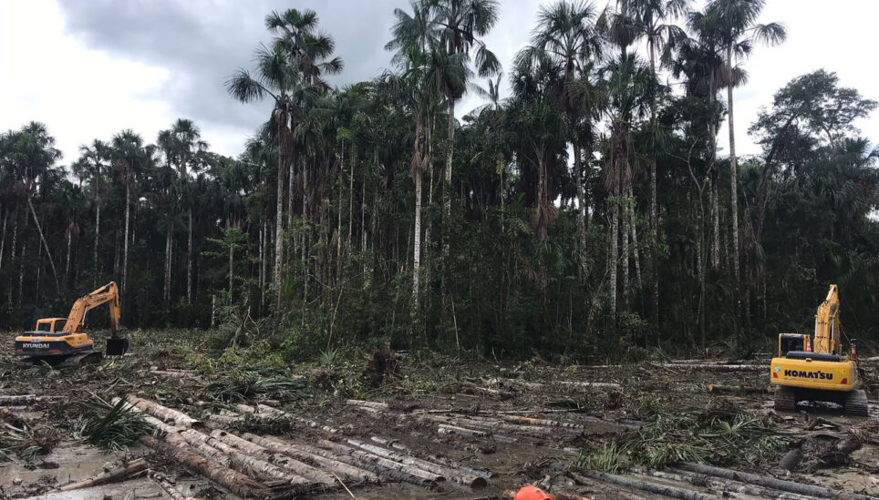 https://www.coolearth.org/wp-content/uploads/2025/07/yasuni-road-construction.jpg