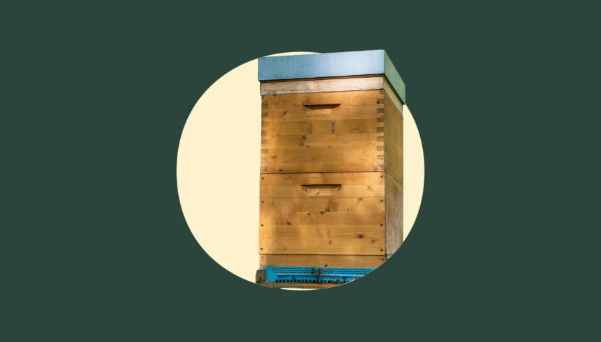 Brilliant Beehive