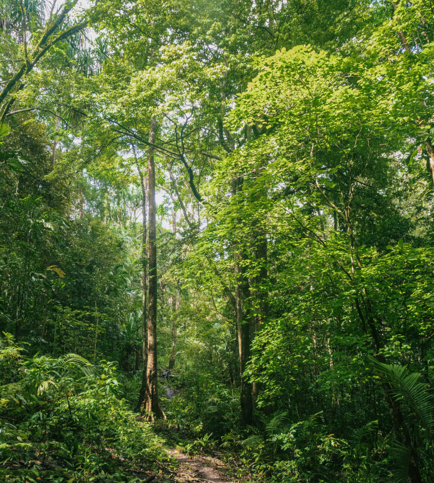 Let's keep in touch.