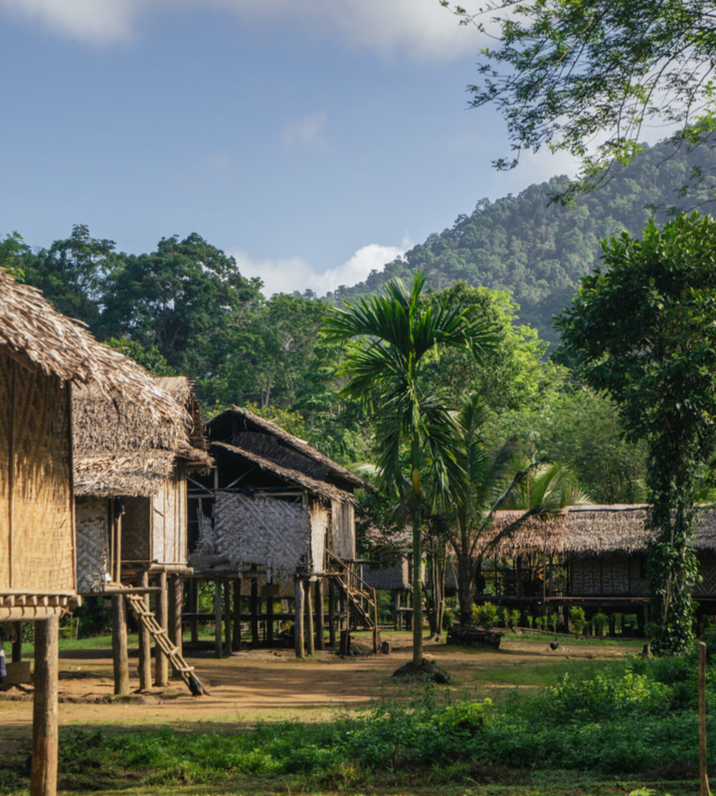 Where we work in Papua New Guinea