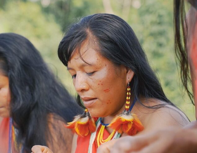 COP: 10x More Fossil Lobbyists Than Indigenous Voices