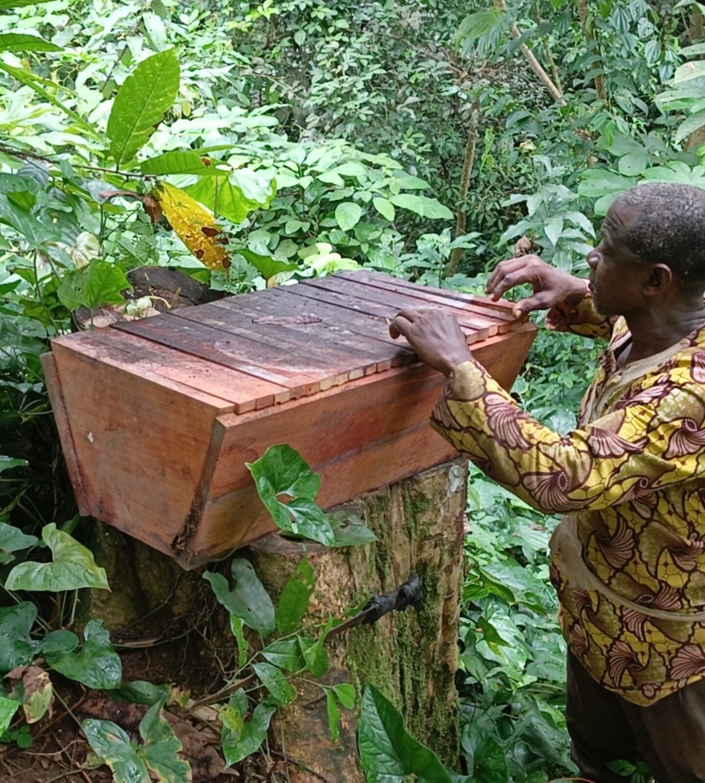 14th Nov -  Blue Zone DRC Pavilion