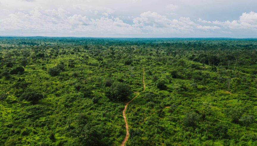 Road running through Gado-Badzéré, East, Cameroon, in the Congo. Image credit: Kelly