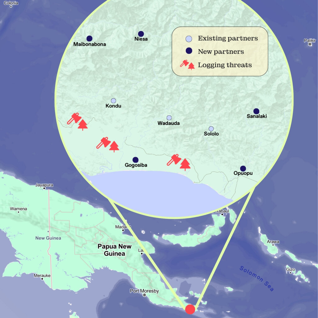 Loggers are sweeping across the South Western tip of Papua New Guinea. Help these communities stand strong against them.