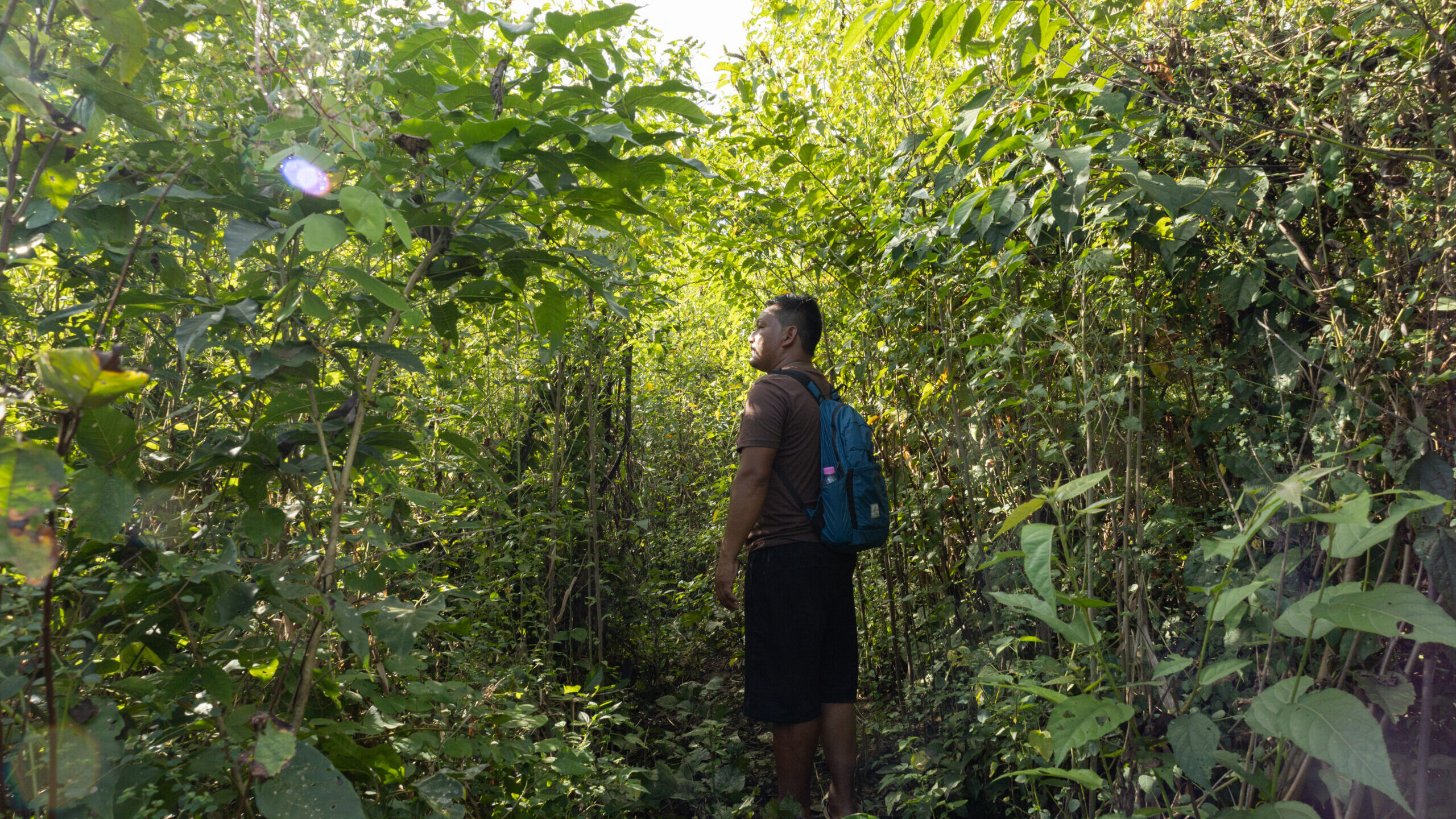 Back people, protect rainforest