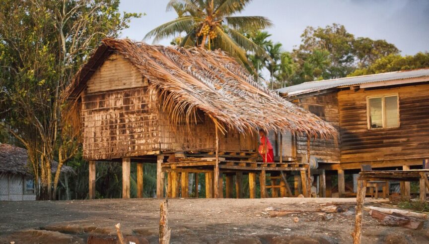 A traditional wooden stilt house with a thatched palm roof in a Papua New Guinea rainforest community.