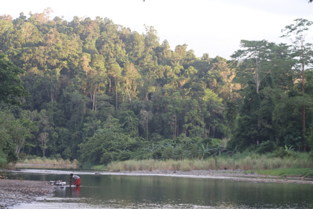 Kondu is situated in the heart of the Papua New Guinea rainforest.