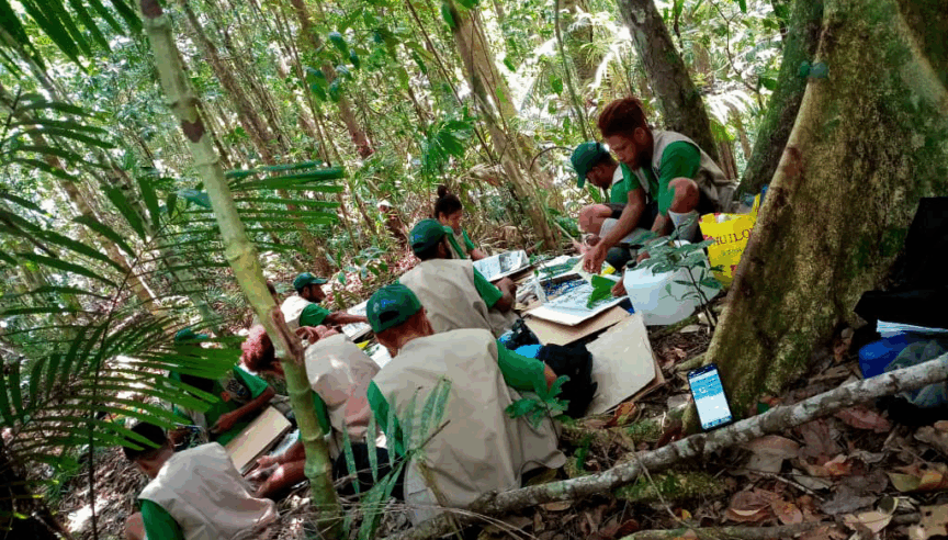 How do Local Communities use data to protect the rainforest?