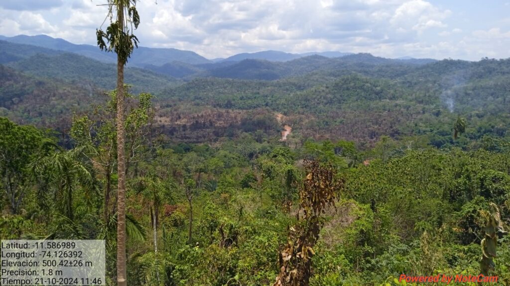 Panoramic view of fires in the Asháninka community of Saniveni captured by a PAAMARI member.