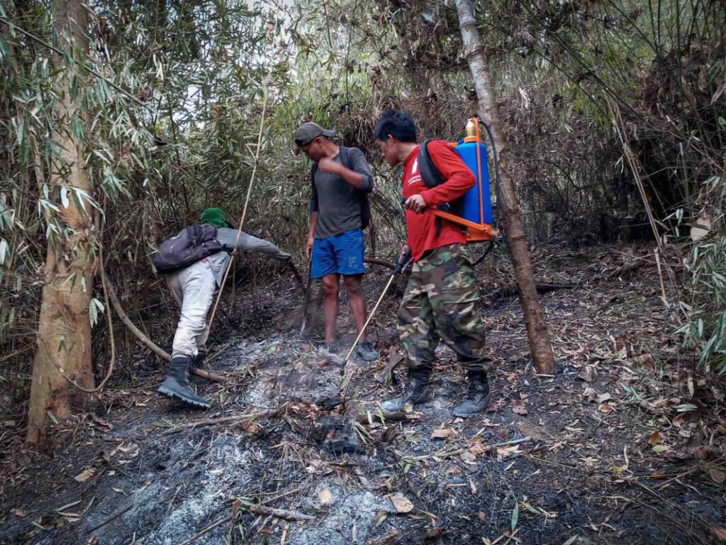 PAAMARI members searching for hotspots during wildfires in the Asháninka community of Tsiquireni.